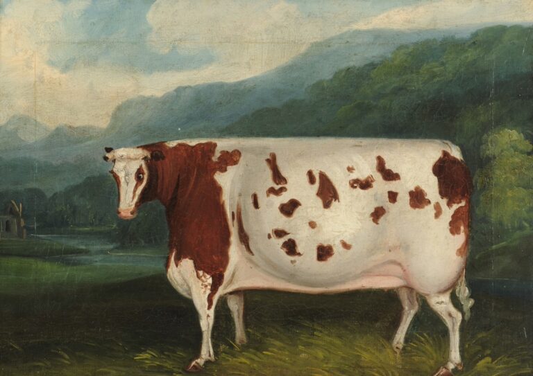 The Legendary Craven Heifer: A Symbol of Yorkshire’s Agricultural Heritage