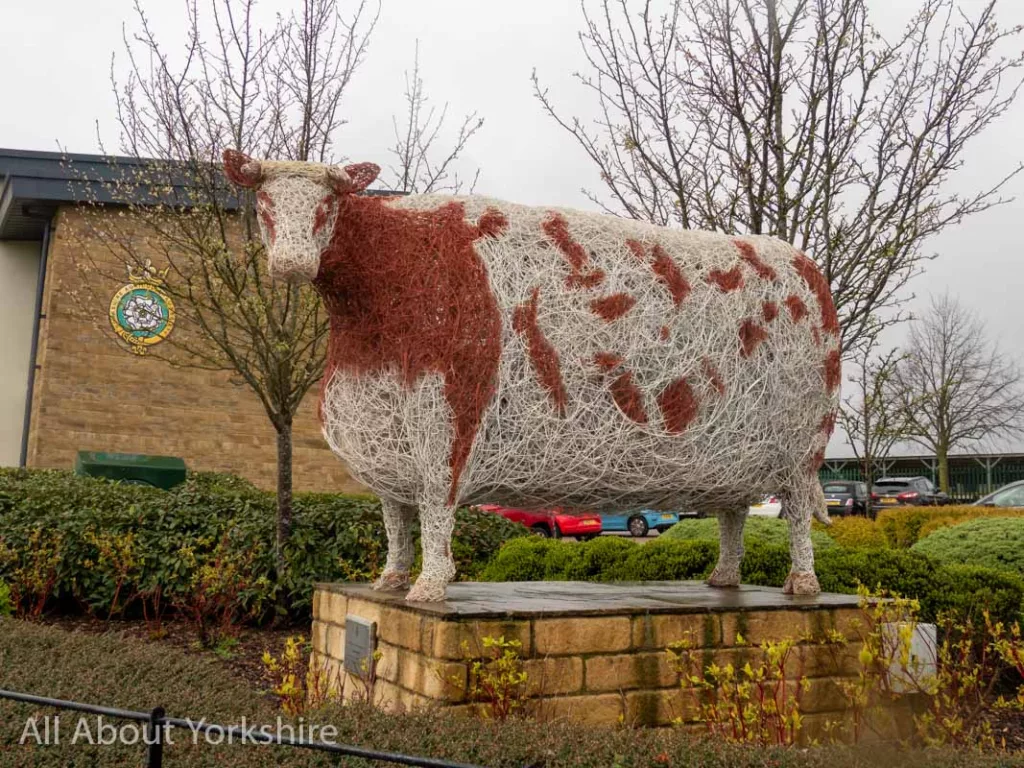 Close knit steel wire sculpture of the Craven Heifer by Emma Stothard, also known as the GYSheifer outside Fodder at the Great Yorkshire Showground, Harrogate.